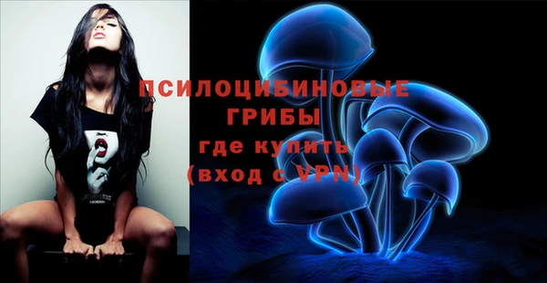 амф Костерёво