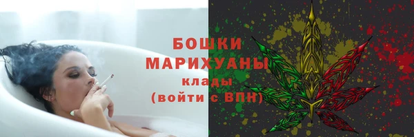 хмурый Корсаков