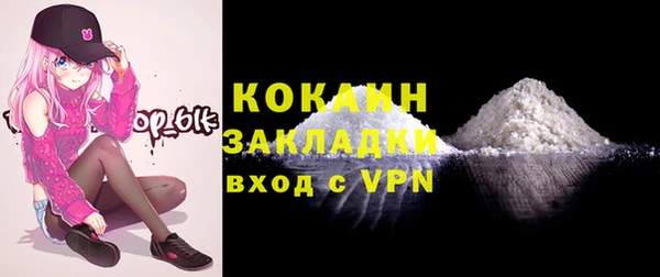 хмурый Корсаков