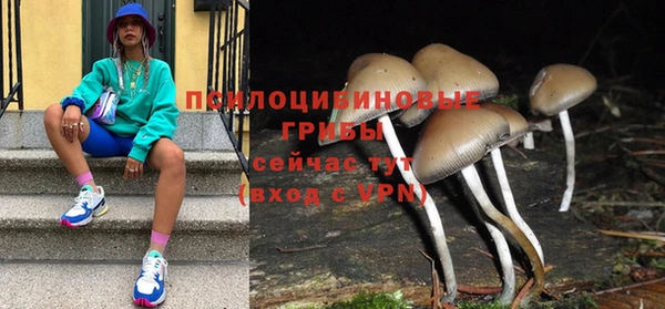 амф Костерёво
