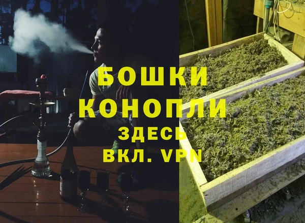 хмурый Корсаков
