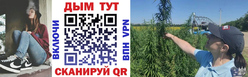 Купить где  Аргун  Марихуана семена 